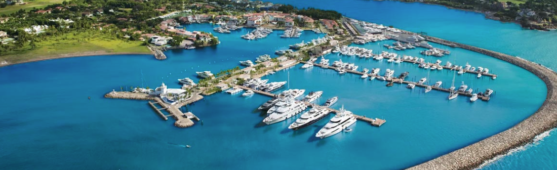 headerVivalook Dreams