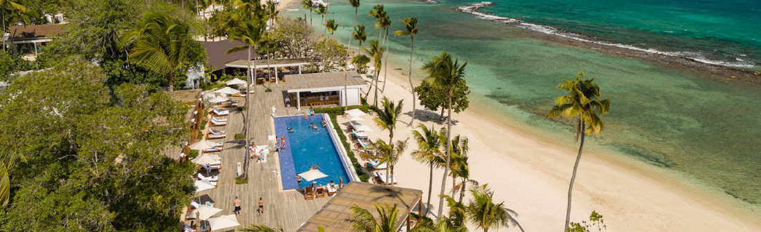 headerVivalook Minitas