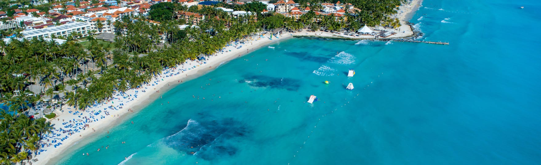 headerVivalookDominicus